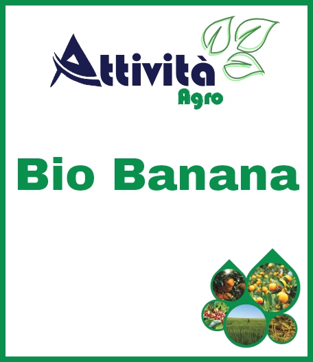 BioBanana.jpg